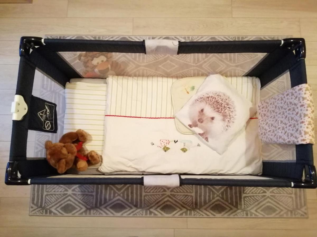 Domki Sowi Kamien Lomnica  Ngoại thất bức ảnh